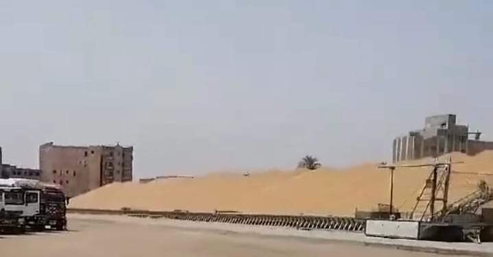 مطاحن مصرالعليا تحقق نسب استلام متميزة للاقماح المحلية لهذا العام