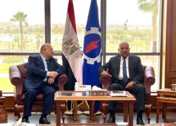 صقر يلتقى الشهابى رئيس حزب الجيل