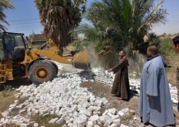 إزالة فورية على الأراضي الزراعية بقنا