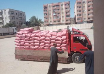 مطاحن مصر العليا تحقق ارقام متميزة في استلام الاقماح المحلية