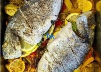 مطبخ_الشيف_حسن_كمال  سمك دنيس بالفرن