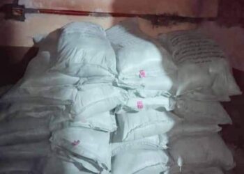 ضبط 2468 قضية تموينية غذائية خلال شهر بمضبوطات 117 طن بالجيزة 