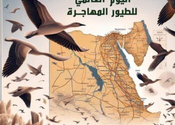 مشاركة فريق مكتب القصير بمحمية الجزر الشمالية باليوم العالمي للطيور المهاجرة