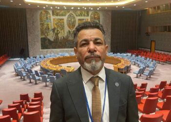 المجلس النرويجي للتسامح والسلام يشارك فريق بمجلس الأمن