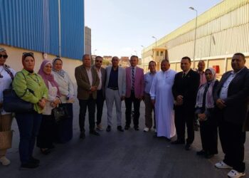 التموين و الزراعة فى عيد حصاد الذهب الأصفر بالإسكندرية 