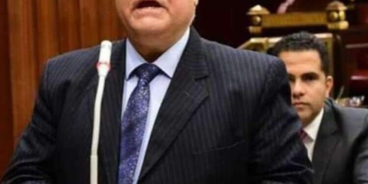 رئيس حزب الجيل الديمقراطي يؤكد علي دعم الدوله المصرية للقضية الفلسطينية