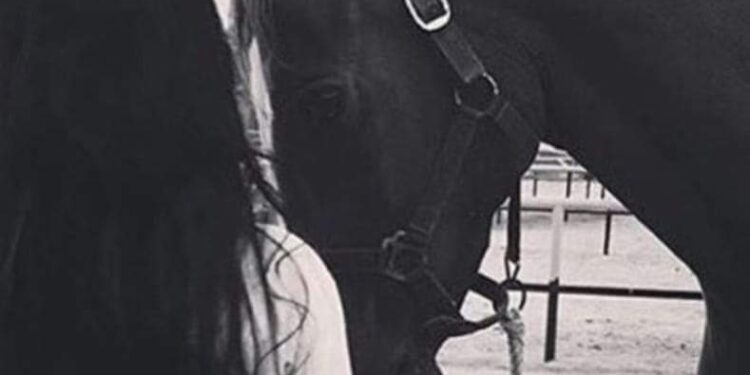 أفكار بصوت مرتفع *الوفاء*