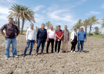 رصد وإزالة فوريه لزراعة أرز مخالفة بمحافظة الفيوم