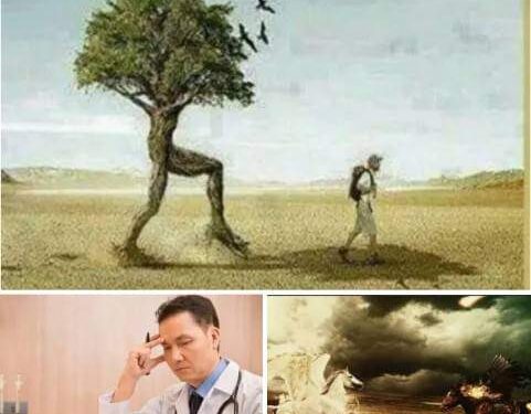 كيف تريٰ المرضيٰ ؟