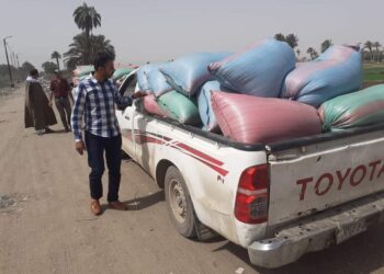 ضبط 3 أطنان من القمح بمركز ديرمواس متجه خارج المحافظة بدون تصريح