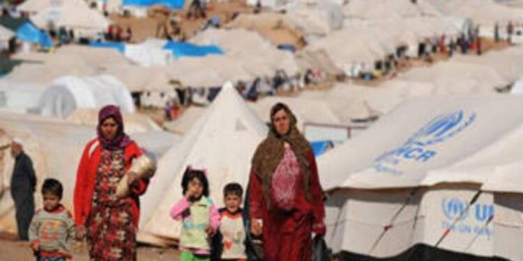 اللاجئين فى الارض