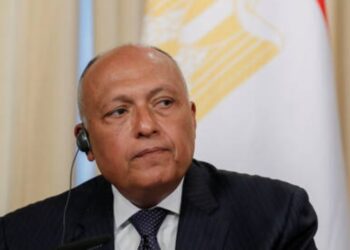 وزير الخارجية المصري يحذر إسرائيل
