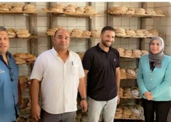 حملة برئاسة وكيلة الوزارة على المخابز بالجيزة تسفر عن ضبط عدة مخالفات