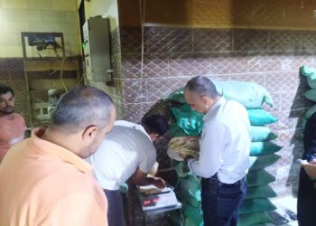 استجابة فورية لشكاوى المواطنين في قرية الراهبين وقرية محلة زياد ومدينة سمنود