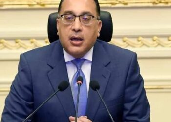 قرار جمهوري بتفويض رئيس مجلس الوزراء في بعض اختصاصات رئيس الجمهورية