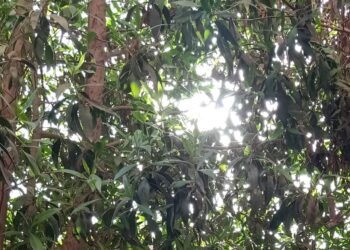 من أضرار الابتعاد 