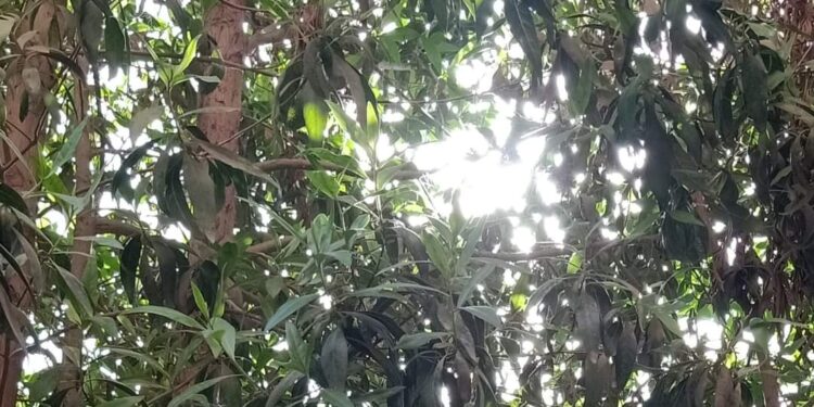 من أضرار الابتعاد 