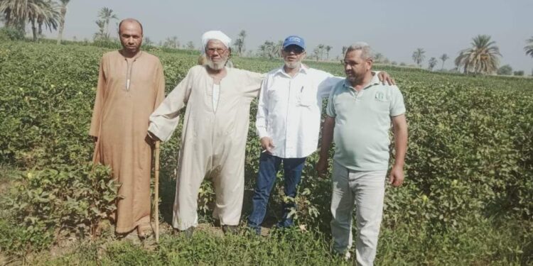 وكيل وزارة الزراعة بالفيوم يتابع الرشة الوقائية والاخيرة فى القطن للاصلاح والائتمان بالفيوم 