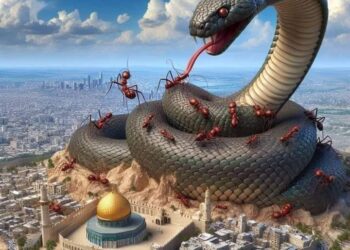  فنطزية عدوانية  