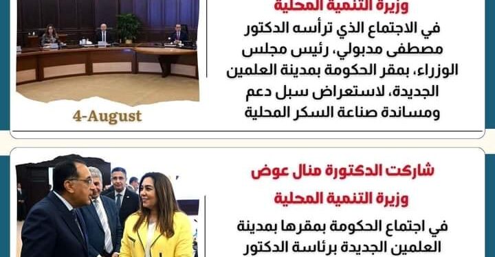 بالإنفوجراف “التنمية المحلية فى أسبوع”