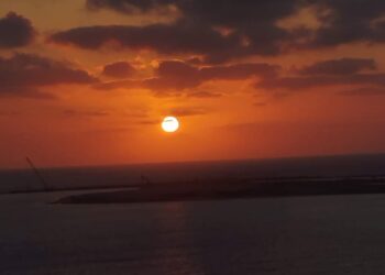 ” الحلم الشارد “