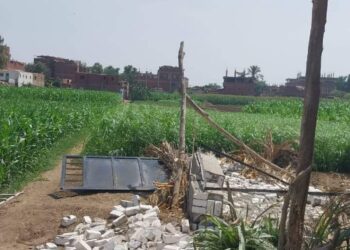 إزالة 111 حالة تعديات على أراضى زراعية بمراكز محافظة الجيزة 