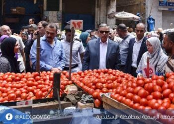 محافظ الإسكندرية يتفقد الأسواق للتحقق من عدم وجود ممارسات احتكاريه ويستمع للمواطنين.