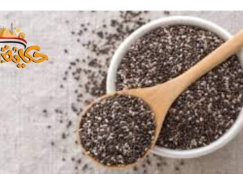 كل ما تحتاج معرفته عن بذور الشيا وفوائدها الرائعة
