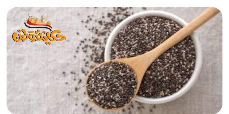 كل ما تحتاج معرفته عن بذور الشيا وفوائدها الرائعة