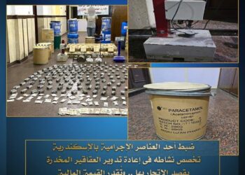 ضبط بعض العناصر الإجرامية التي تقوم بتدوير العقاقير ومضاعفة كميتها 