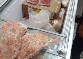 ضبط ١٤طن مقطعات ومصنعات لحوم ودواجن فاسدة غير صالحة للاستهلاك الادمي  بالجيزة
