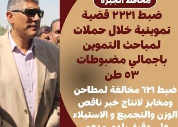 ضبط ٢٢٢١ قضية تموينية بإجمالى ٥٣ طن مضبوطات خلال حملات لمباحث التموين بالجيزة