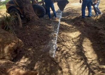 زراعة ابشواي : تم رصد وإزالة 5 حالات تعدى بالبناء المخالف بابوجنشو