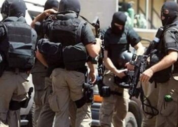 أسوان: جهود الأجهزة الأمنية داخل الأسبوع المنقضى 