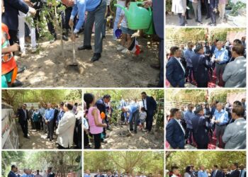 محافظ القاهرة  يقوم بزراعه  اول شجرة  ضمن مبادرة ” القاهرة خضراء صديقة للبيئة “