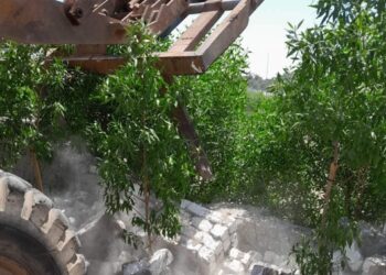 زراعة الفيوم :تم رصد وازاله مساحه 6 قيراط بالبناء المخالف باعلام الفيوم 