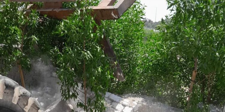 زراعة الفيوم :تم رصد وازاله مساحه 6 قيراط بالبناء المخالف باعلام الفيوم 