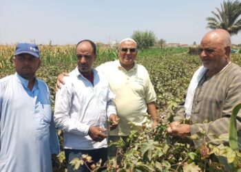 وكيل وزارة الزراعة بالفيوم يتابع فعاليات موسم «جَنىّ القطن»بالفيوم