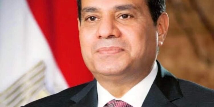 كلمة الرئيس/ عبــد الفتــاح السيســي خلال المؤتمر الصحفى المشترك مــع الرئيس/ رجب طيب أردوغان