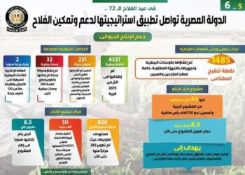 في عيد الفلاح الـ72..  بالإنفوجراف… الدولة المصرية تواصل تطبيق استراتيجيتها لدعم وتمكين الفلاح