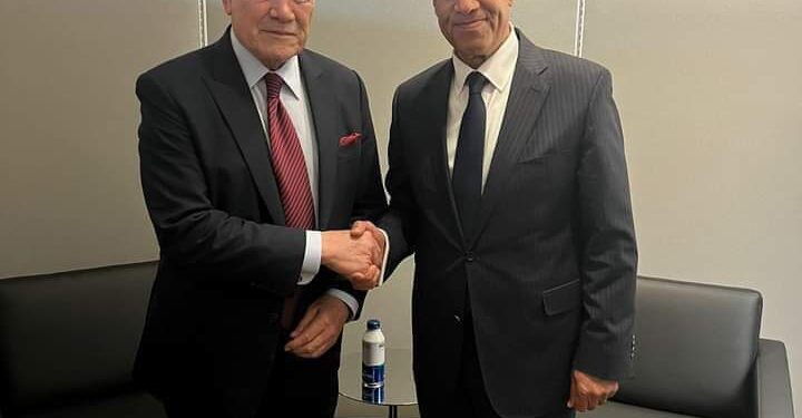 وزير الخارجية والهجرة وشُئون المصريين في الخارج يلتقي بنظيره النيوزيلندي