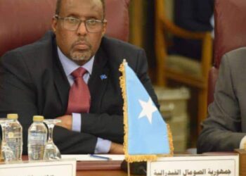 سفير الصومال : ارسال القافلة الطبية المصرية إلى مقديشيو يعكس الموقف المصري الثابت بدعم الصومال 