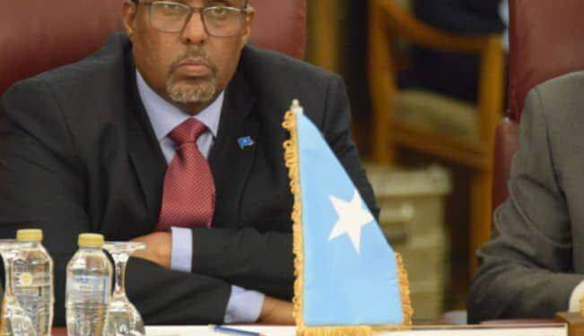 سفير الصومال : ارسال القافلة الطبية المصرية إلى مقديشيو يعكس الموقف المصري الثابت بدعم الصومال