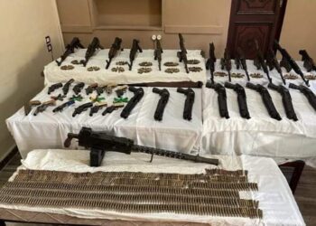 خلال حملة أمنية بدمياط.. ضبط أسلحة نارية وأكثر من 24 كيلو مواد مخدرة