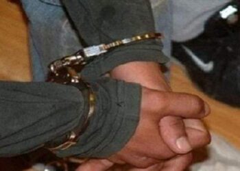 حبس سائق نقل لاتهامه بقتل 3 أشخاص بينهم طفل في حادث توك توك الصف