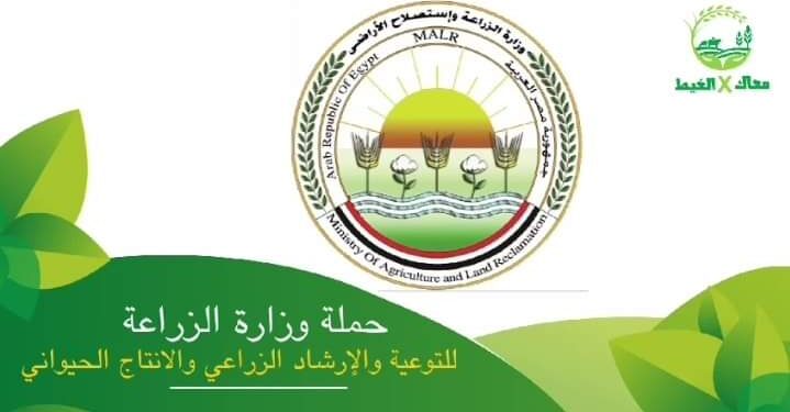 “الزراعة” تطلق حملة “معاك في الغيط” للتوعية والإرشاد الزراعي والانتاج الحيواني عبر السوشيال ميديا 