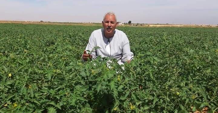 نقيب الفلاحين: يتوقع إرتفاع اسعار اللحوم الحيه خلال ايام 