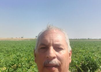 نقيب الفلاحين : ارتفاع أسعار الوقود يكسر ظهور المزارعين ويهدد بزيادة 15% في أسعار المنتجات الزراعية