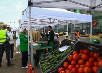 كأنك في أوروبا.. شوف سوق اليوم الواحد للمزارعين بإسكندرية