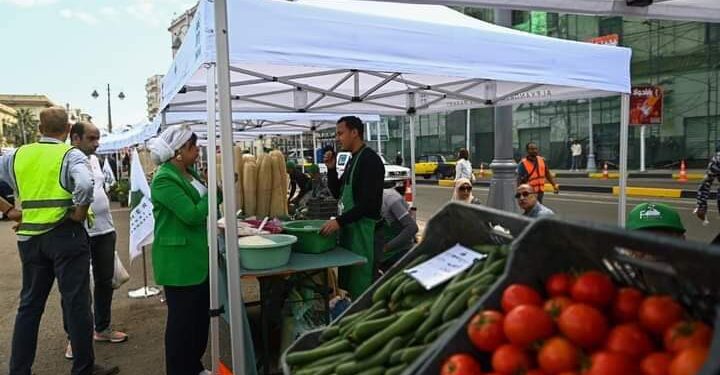 كأنك في أوروبا.. شوف سوق اليوم الواحد للمزارعين بإسكندرية